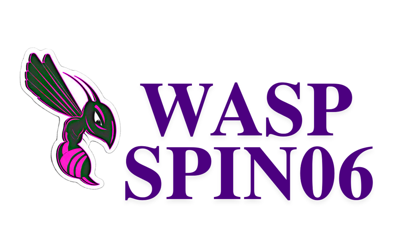 waspspin06.co